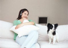 做泰国试管婴儿期间可以养宠物吗？