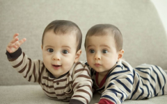 泰国试管婴儿中的双胞胎长得是否一样？