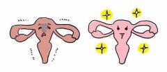 泰国试管取卵后，让卵巢恢复得更快的方法