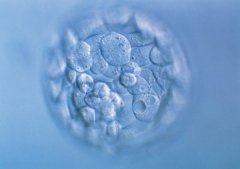 冷冻胚胎解冻后胚胎质量会降级吗？